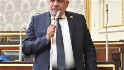 النائب سيد حنفي يطالب الحكومة بسرعة تنفيذ التكليفات الرئاسية لتطوير القاهرة التاريخية