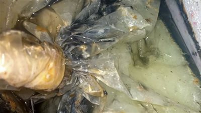 تحرير 136 محضر متنوع في حملات على أسواق الغربية