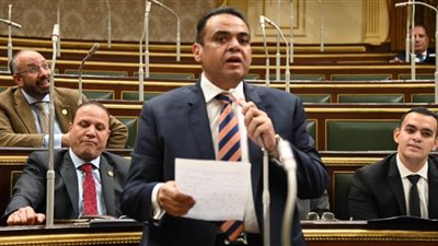 برلماني: توجيهات السيسي بإيجاد حلول نهائية للأزمة الاقتصادية لتخفيف الأعباء عن المواطنين