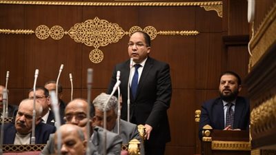 برلماني: نجاح تموين السفن بالوقود الأخضر يضعنا بمصاف جذب الخطوط الملاحية العالمية