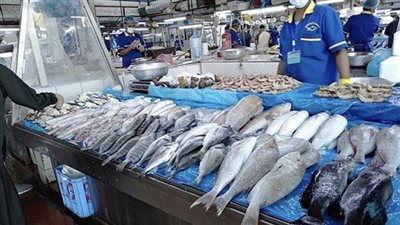 أسعار السمك اليوم الأحد في سوق العبور للجملة