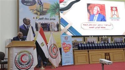 محافظ الوادي الجديد يُطلق مبادرة لدعم الكوادر الطبية 