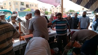  الوادي الجديد تستمر في طرح الخضراوات والفاكهة بمنافذ الديوان العام 