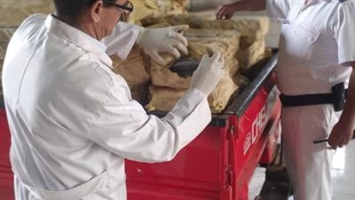 ضبط نصف طن رنجة غير صالحة للاستهلاك بالغربية 