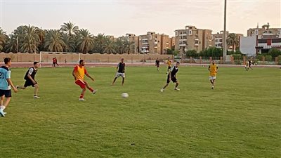 تنظيم معسكر تدريبي لفريق الوادي الجديد