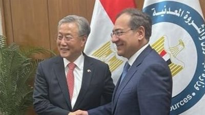 مصر وكوريا تبحثان تطوير التعاون في البترول والغاز والطاقة الخضراء 