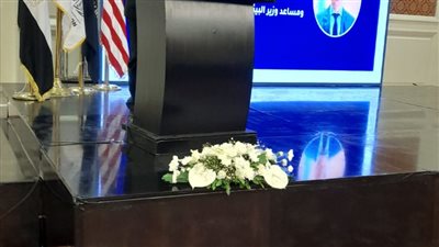 أبو سنة : الدولة المصرية بذلت جهودًا حثيثة لمواجهة التحديات البيئية على كل المستويات 