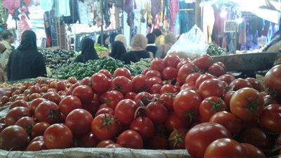 الكوسة تواصل الصعود والطماطم تهبط في أسواق البحيرة 