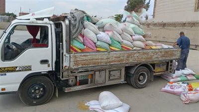 ضبط 7645 كيلو قمح قبل تهريبهم وبيعهم بالسوق السوداء في الشرقية