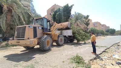 إزالة تعديات على أرض أملاك الدولة بالزراعات في الخارجة