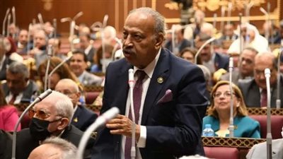 نائب يطالب بالاستجاية لنداءات مصر في إحياء مسار السلام ووقف نزيف الدماء الفلسطينية