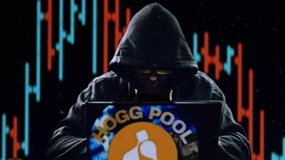 رفض استئناف صينين و9 آخرين في قضية  تطبيق هوج بول بتهمة توظيف أموال