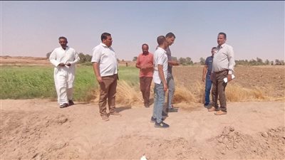 رصد وإزالة فورية للتعديات علي أراضي الدولة بمركز باريس في الوادي الجديد