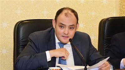لماذا انخفضت صادرات مصر بنسبة 17 % خلال العام الحالي؟