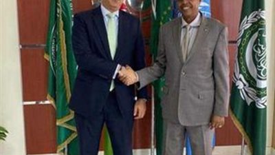 وزير خارجية جيبوتي يستقبل السفير المصري بمناسبة انتهاء فترة عمله