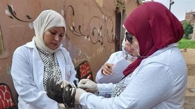 بيطري الشرقية يُحصن 154 ألف طائر ضد أنفلونزا الطيور والأمراض الوبائية