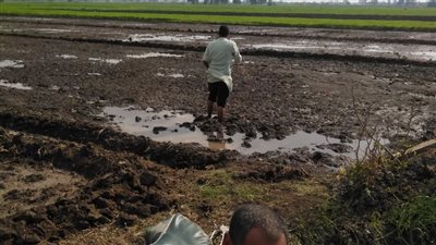 غضب في الدقهلية بسبب ارتفاع أسعار الأسمدة 