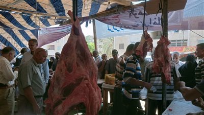طرح اللحوم الطازجة والخضروات والفاكهة في منافذ محافظة الوادي الجديد