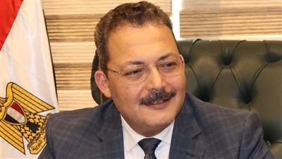 سمير صبري مشيداً بانضمام مصر لمجموعة بريكس: يخلق سوقا مشتركة