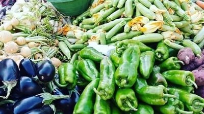 ننشر أسعار الفاكهة والخضراوات بأسواق قنا اليوم الجمعة