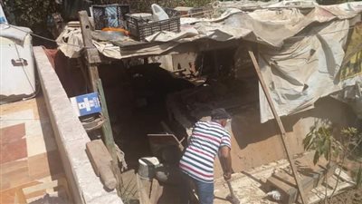 إزالة 10حظائر طيور أسفل العمارات السكنية بالعاشر من رمضان