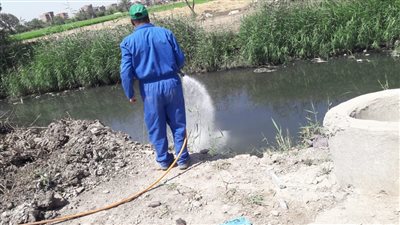 الفرق الطبية بالشرقية تكثف جهودها في مكافحة الذباب والبعوض 