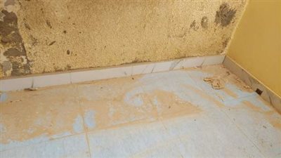 رفع حالة الطوارئ لمواجهة الأحوال الجوية السيئة بالوادي الجديد