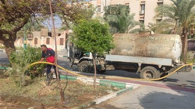 حملة لإزالة الأشجار المؤثرة على سلامة المواطنين وحركة المرور بالخارجة