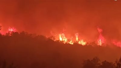 جهود متواصلة لإخماد حريقين بالغابة المخزنية في المغرب (صور)