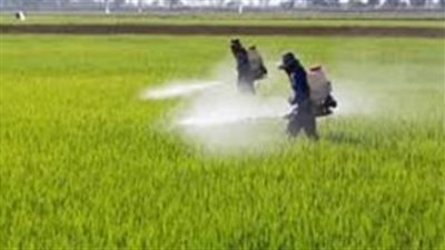 بحوث الحشائش ينظم دورة تدريبية للعاملين بالمعمل 