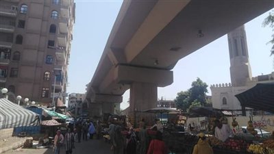 ننشر أسعار الفواكة والخضراوات بأسواق قنا