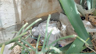 البيضة والحجر.. داخل المقابر