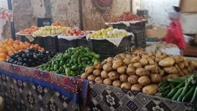 خضراوات وفواكه بأسعار مخفضة بالوحدة المحلية لمركز ومدينة بلاط 