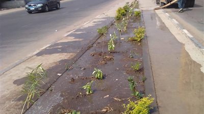 حي شبرا الخيمة  بتحسين شارع ترعة الاسماعيلية 