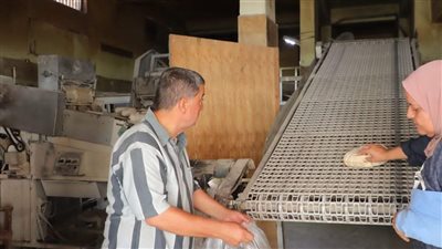 محافظ دمياط تتابع المخابز لبحث خطة تطويرها وزيادة الحصص الإنتاجية 