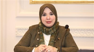 النائبة دينا هلالي: قرارات الرئيس السيسي للمشروعات الصناعية حافز قوي لضخ المزيد من الاستثمارات 