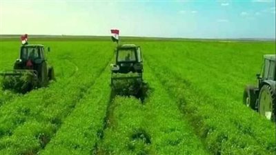 توشكى الخير.. تحويل الصحراء إلى مساحات زراعية (شاهد) 