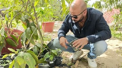 صاحب تجربة زراعة البن بالإسماعيلية يكشف تفاصيل نجاح الفكرة (فيديو)