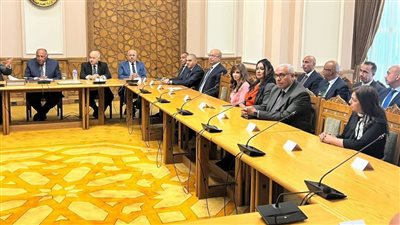 تفاصيل لقاء وزير الخارجية مع السفراء رؤساء بعثات مصر في الخارج