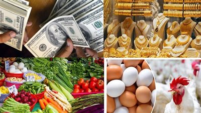 هبوط حاد في الذهب والعملات وتراجع شديد بالدواجن والخضار.. أسعار التعاملات اليوم الثلاثاء