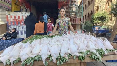 الـ 5 فرخات بـ 200 جنيه.. أبو أنس الفرارجي يتحدى الأسعار والإقبال تاريخي 