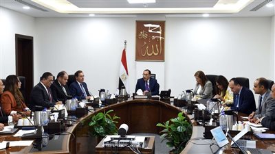 مدبولى يستعرض مقترحًا بإنشاء مصنعين للأسمدة الفوسفاتية والسيليكون المعدني لإنتاج الألواح الشمسية