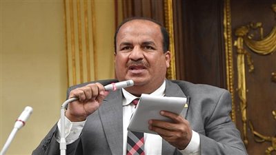 اقتصادية النواب: التكليفات الرئيسة لدعم الصناعات الاستراتيجية تفوق الخيال