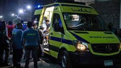 قلب ولدي عليَ حجر.. مأساة مقتل موظف على يد نجله