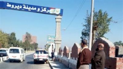 غدا.. قطع التيار الكهربائي عن بعض قري ديروط