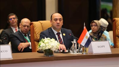 تجديد تكليف عمرو عادل رئيسًا لهيئة الرقابة الإدارية