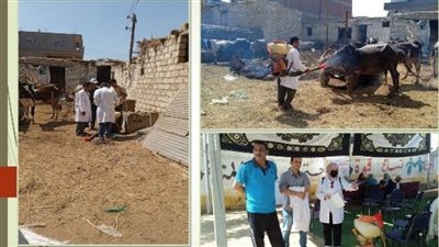 بيطري الشرقية يُنظم قافلة توعوية وقائية بالمجان بقرية قرموط صهبرة 