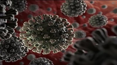 متحور بيرولا.. فيروس جديد ينتظر البشرية