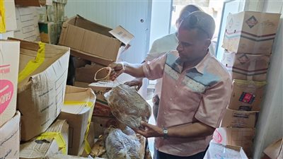 ضبط 33 طن مصنعات لحوم فاسدة بالجيزة