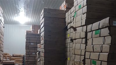 تحرير 405 محاضر تموينية بالمنوفية وضبط  34 طن لحوم وأسماك فاسدة